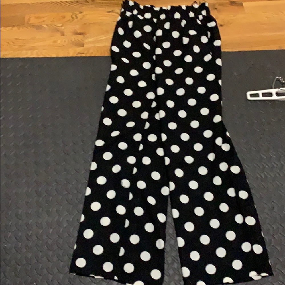 Polka dot palooza plants